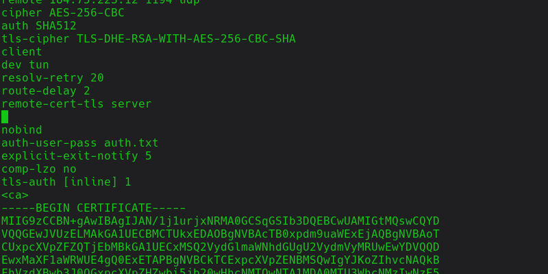So stellen Sie unter Linux automatisch eine Verbindung zu einem VPN her
